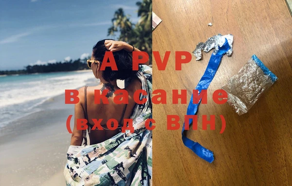 дмт Аркадак