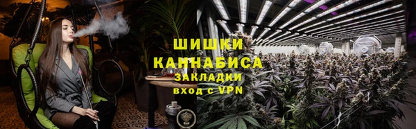 трава Арсеньев