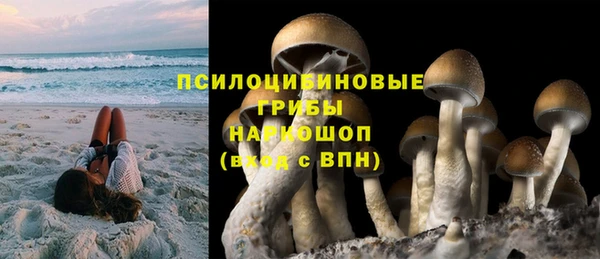 дмт Аркадак