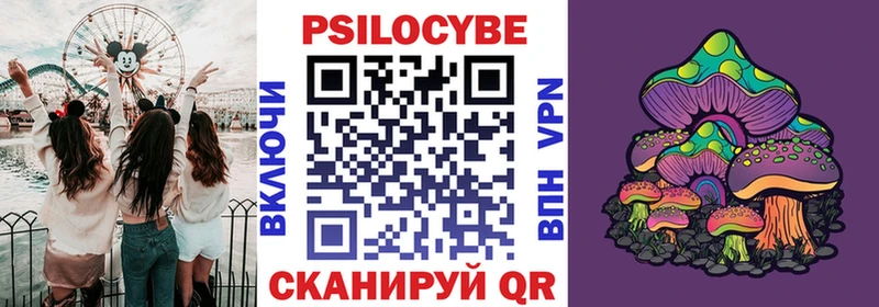 дарнет шоп  Верея  omg   Галлюциногенные грибы MAGIC MUSHROOMS 